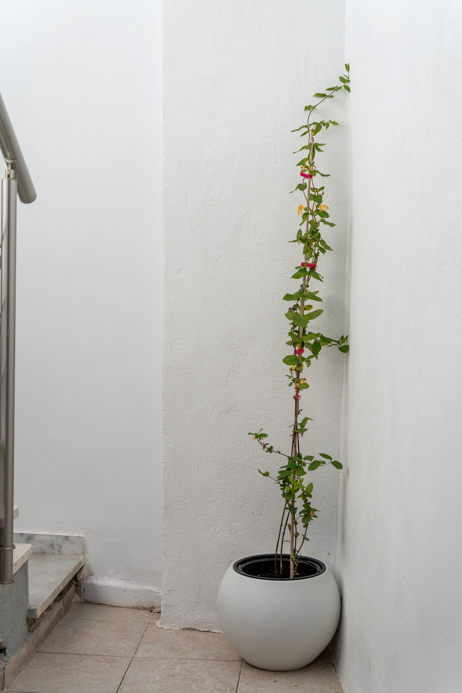 Outdoor space - Photo 4